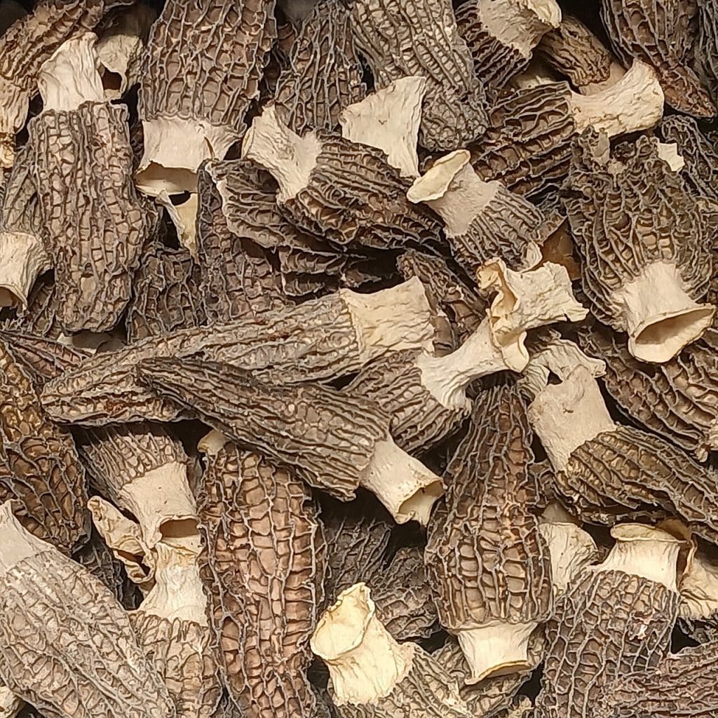 Morilles séchées entières à acheter